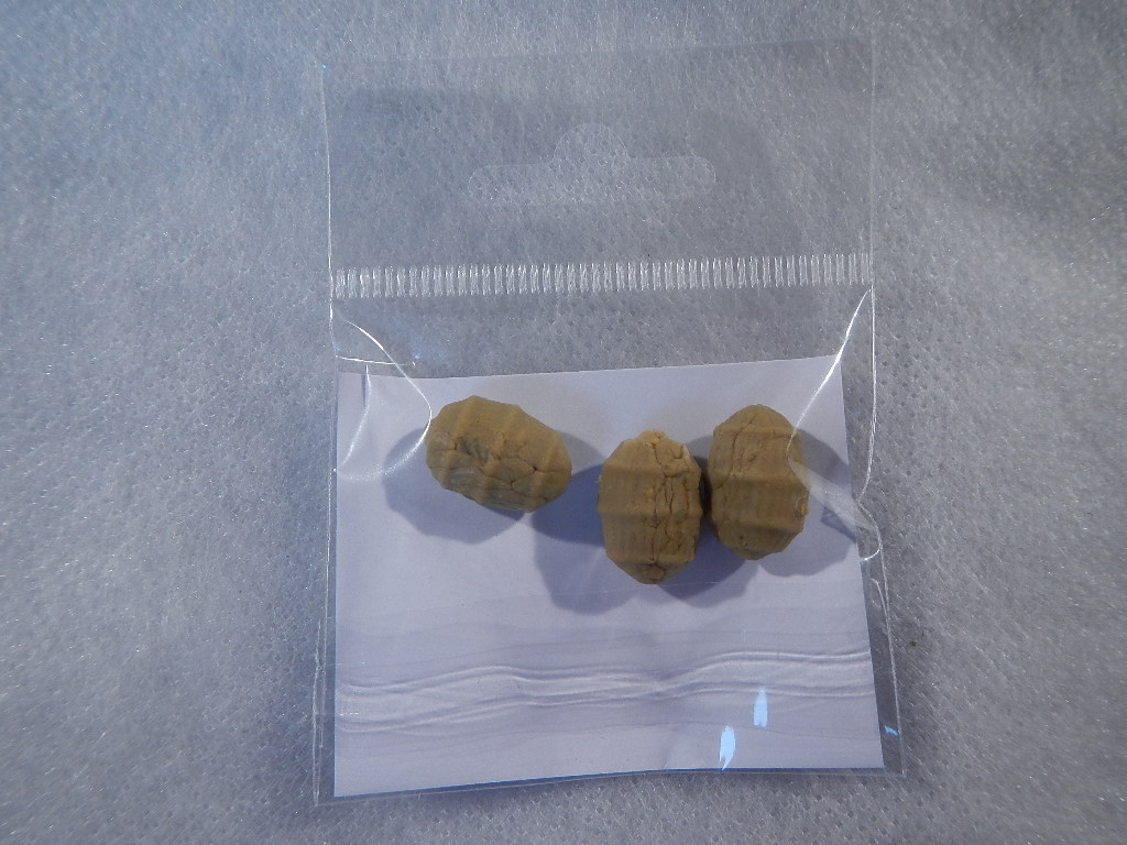 PeCarp Plovoucí tygří ořech - Velký 5ks